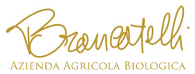 ATTIVITA RIOTORTO: Agriturismo Brancatelli Toscana