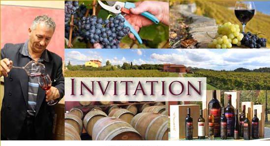 DEGUSTAZIONE VINI E VISITA IN CANTINA